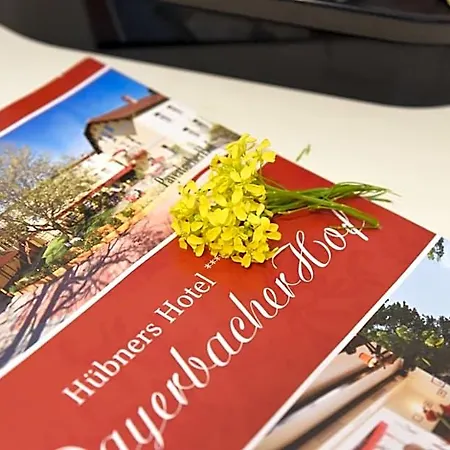 Hotel Payerbacherhof 3*
