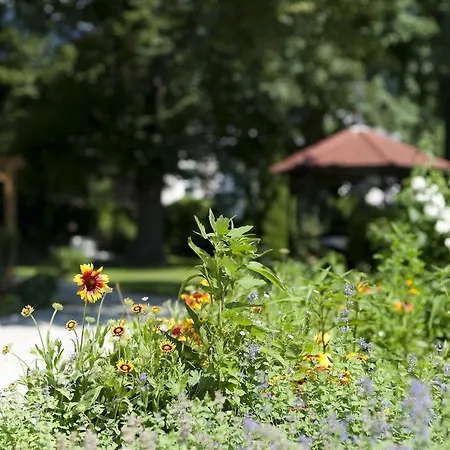 パイエルバッハーホーフ 3*