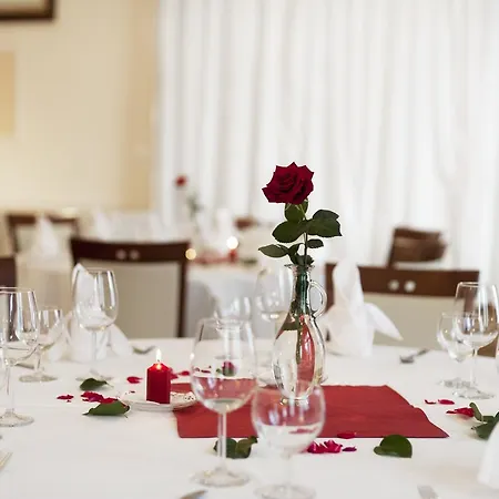 فندق Payerbacherhof 3*