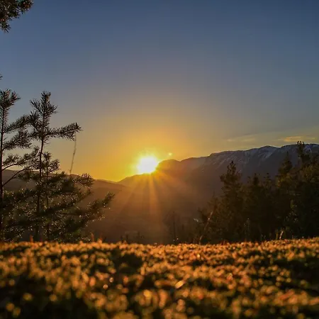 パイエルバッハーホーフ