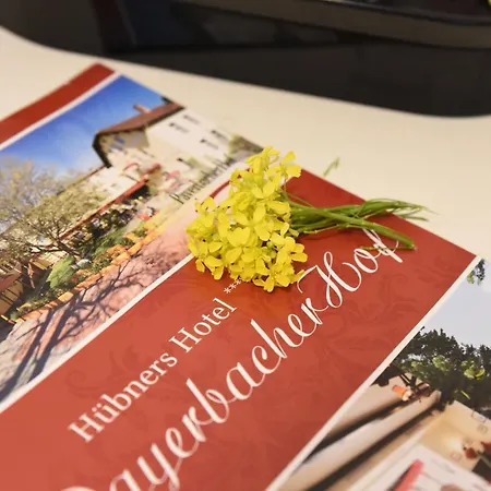 Payerbacherhof Hotell Payerbach