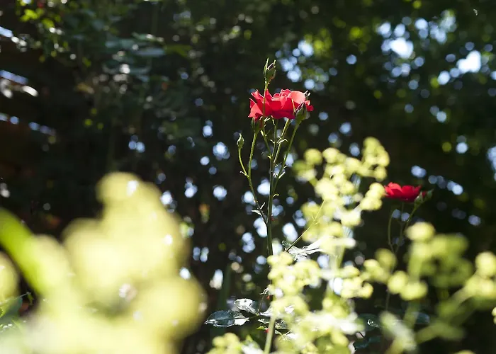 Payerbacherhof Hotel Payerbach